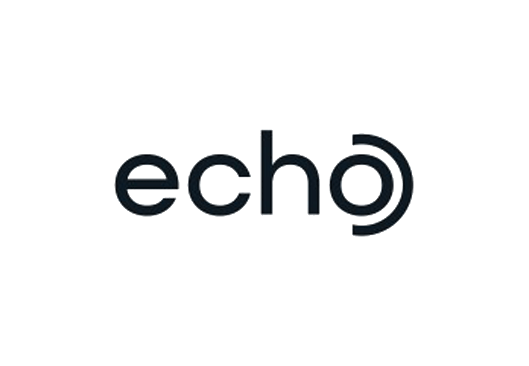 Echo Investment Capital LLC
